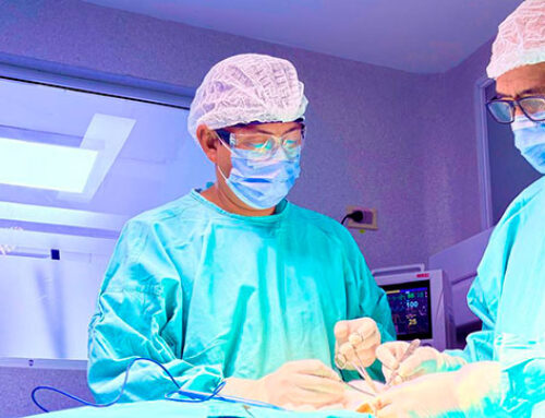Se realizó una compleja reconstrucción mandibular con prótesis diseñada a medida